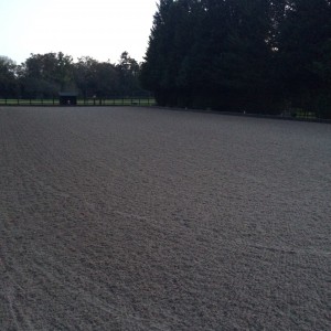 rewax waxed riding arena surface